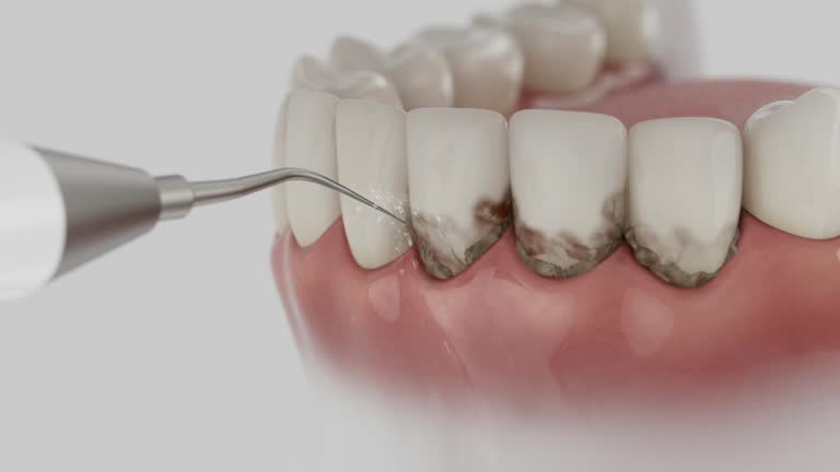Reliable Dental contractor in Jackson, SC by Dentist Open Now